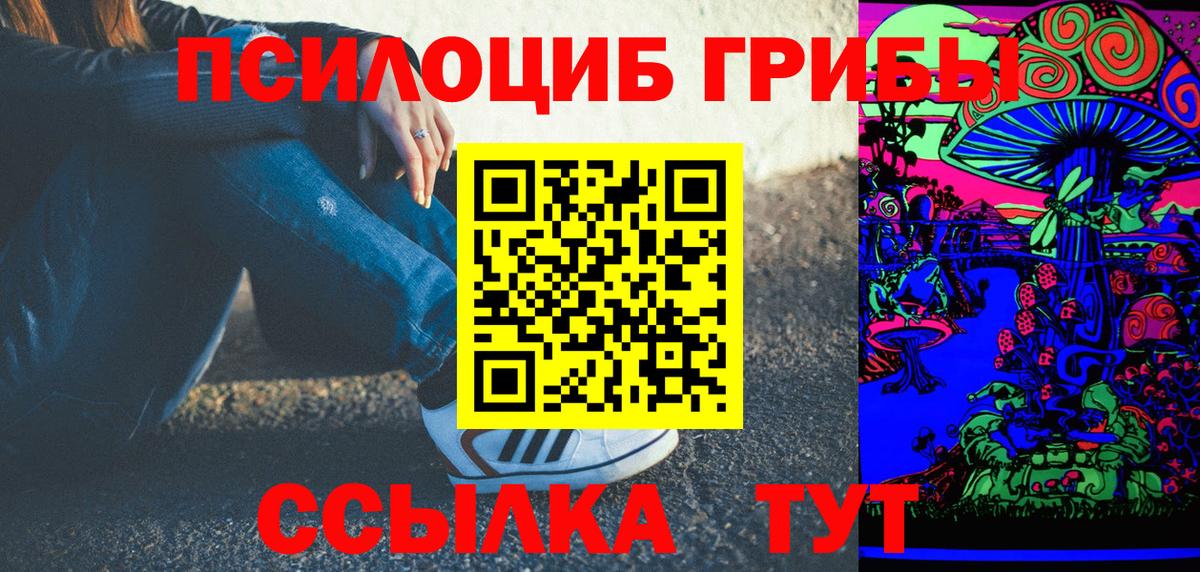 Псилоцибиновые грибы Psilocybine cubensis Зеленодольск