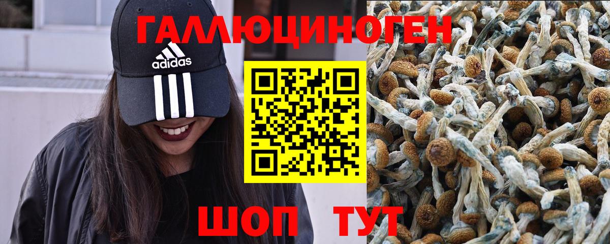 Псилоцибиновые грибы мицелий  Вход с VPN  Зеленодольск 